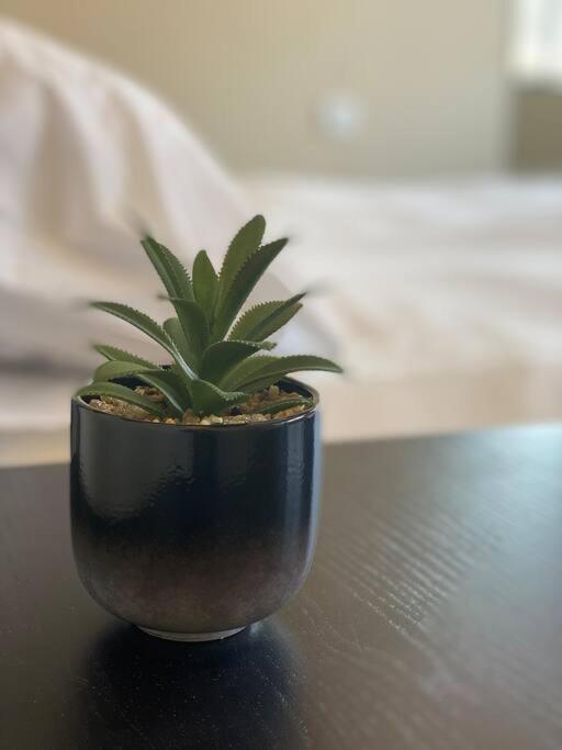 Prime Location! 1 Bedroom Apt In Tlv Beating Heart Tel Aviv Bagian luar foto